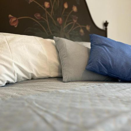 Agriturismo Il Campagnino Cremona Eksteriør bilde