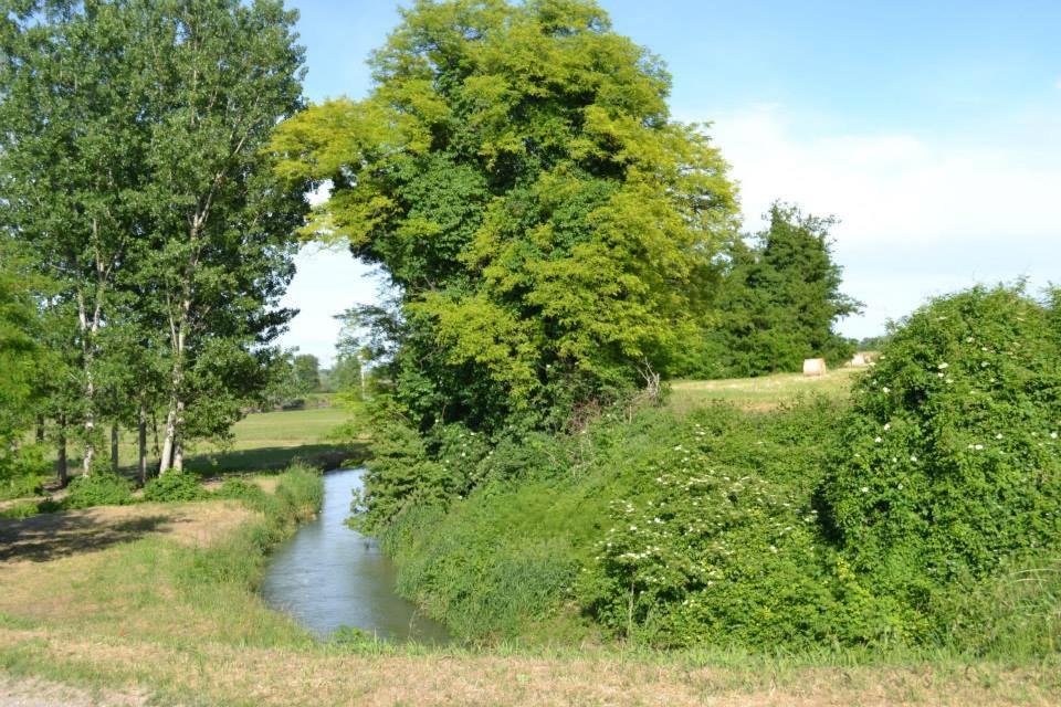 Agriturismo Il Campagnino Cremona Eksteriør bilde