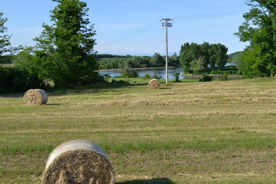 Agriturismo Il Campagnino Cremona Eksteriør bilde