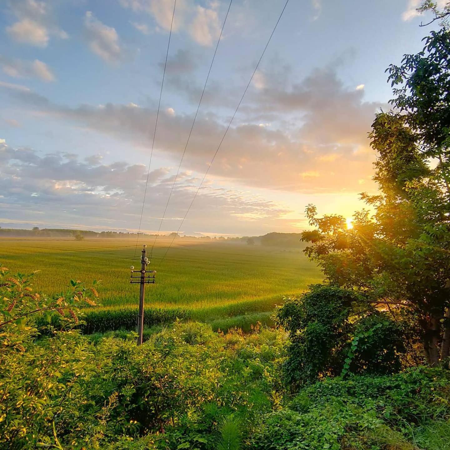 Agriturismo Il Campagnino Cremona Eksteriør bilde