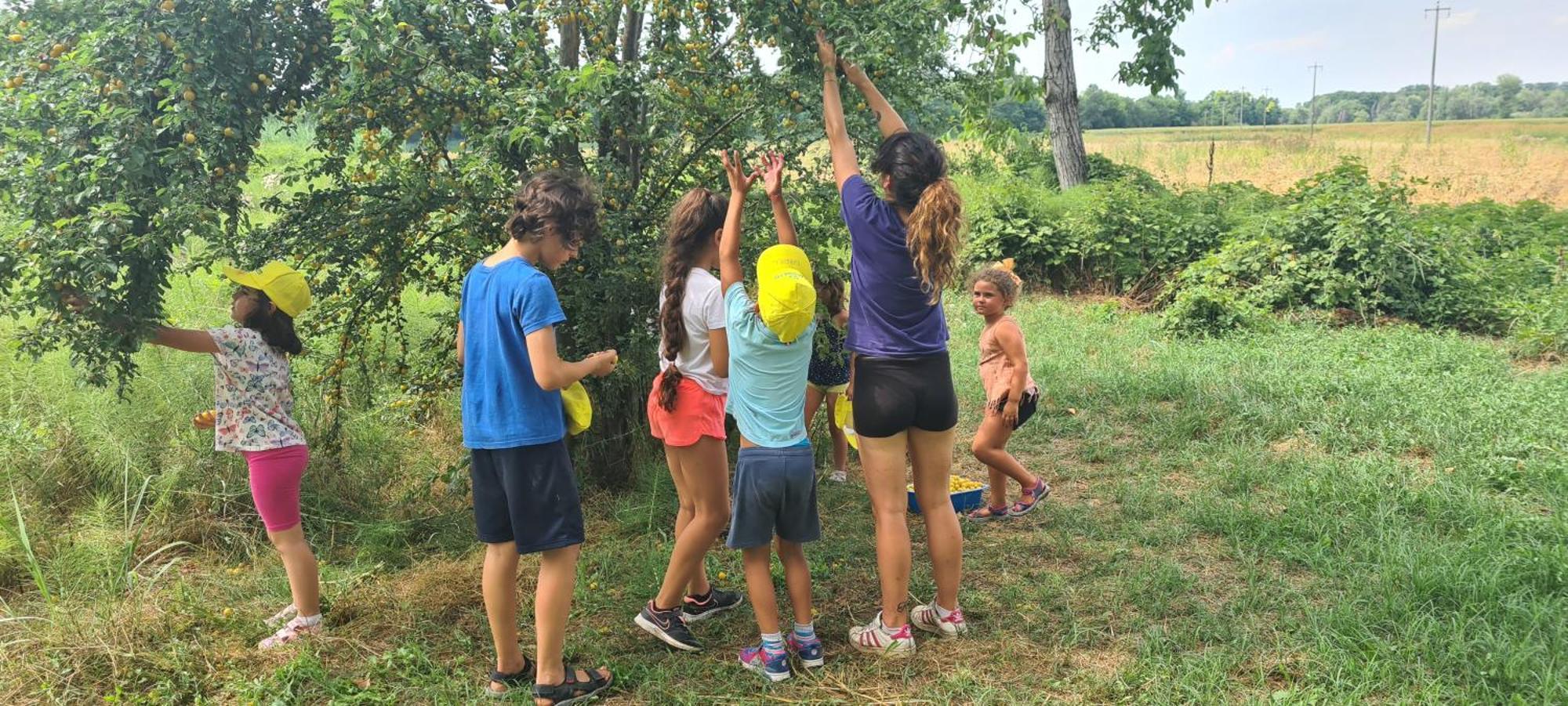 Agriturismo Il Campagnino Cremona Eksteriør bilde