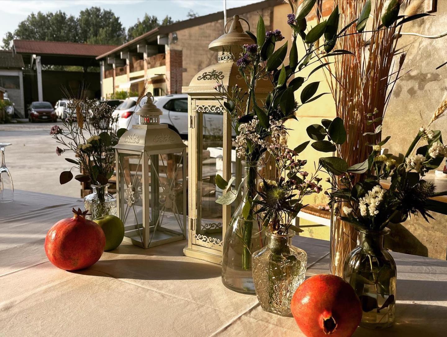 Agriturismo Il Campagnino Cremona Eksteriør bilde