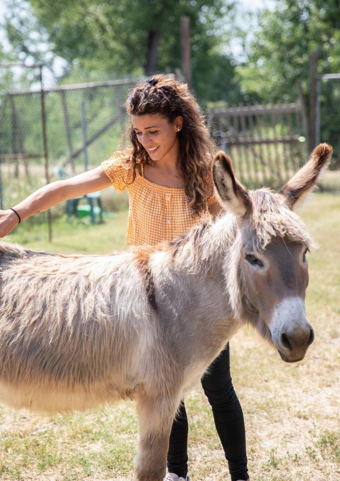 Agriturismo Il Campagnino Cremona Eksteriør bilde